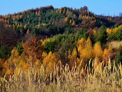 Foto Dumnezeiasca paleta cromatica (c) Lucian Petru Goja